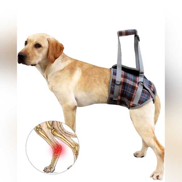 🐾 Dog Recovery Sling Lift Harness Portable Pet Rehabilitation Vest Adjustable - Picture 1 of 15